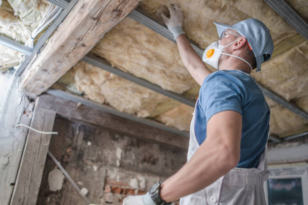 Best Geographic-Specific Insulation Services in Austin, TX